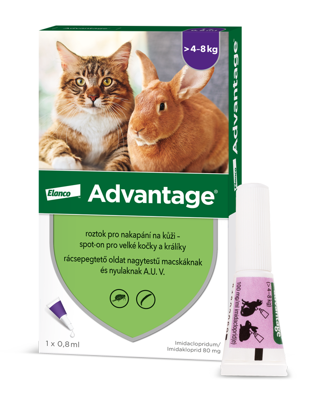 ADVANTAGE Velké kočky 80 mg + králíci spot-on 0.8 ml