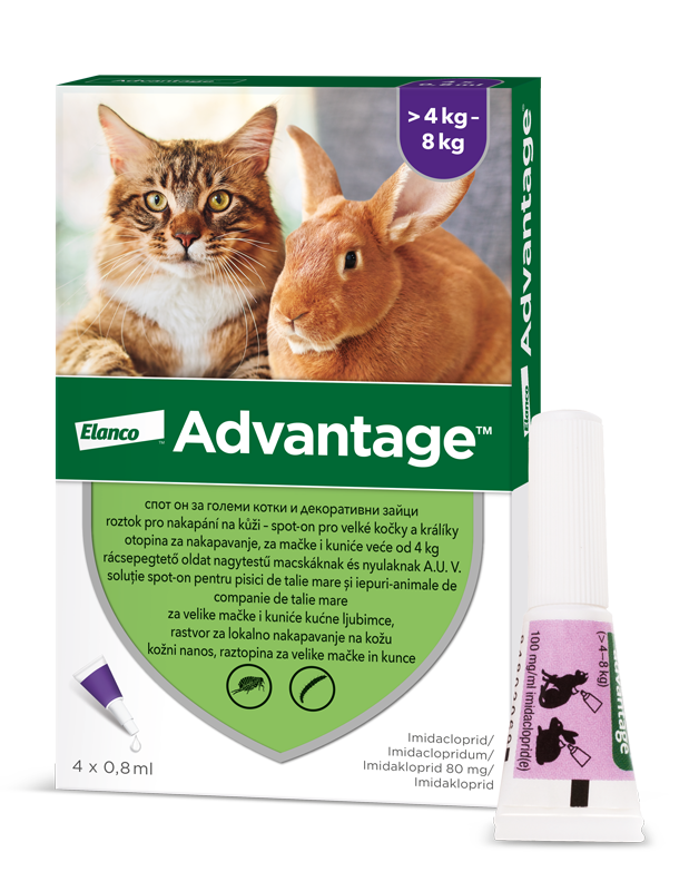 ADVANTAGE Velké Kočky 80 mg + králíci Spot-on 4 x 0.8 ml