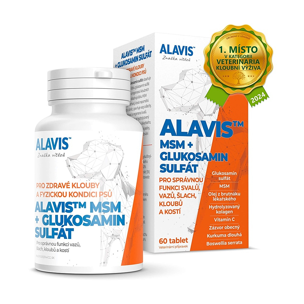 ALAVIS MSM + Glukosamin sulfát 60 tablet