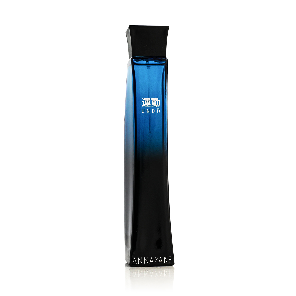 Annayake Undo pour Homme EDT 100 ml M