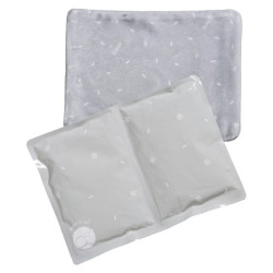 B.BOX Chladící vložka velká 2 ks