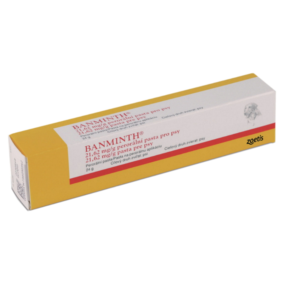 BANMINTH 21,62 mg/g perorální pasta pro psy 24 g