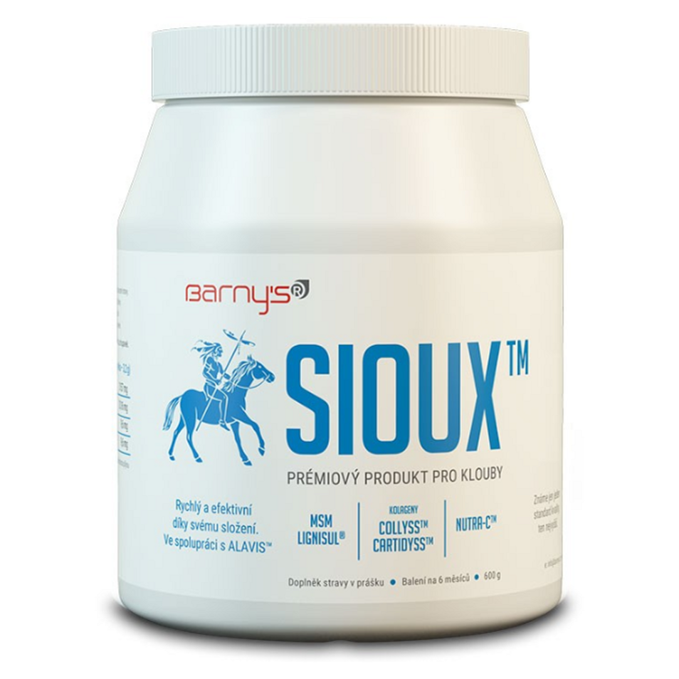 BARNY’S Sioux MSM 600 g