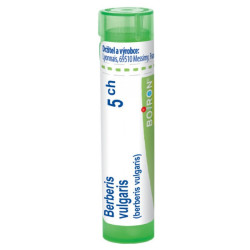BOIRON Berberis vulgaris CH5 4 g