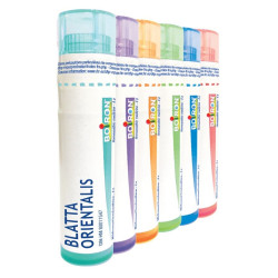 BOIRON Blatta orientalis CH9 4 g