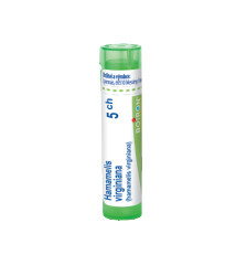 Boiron HAMAMELIS VIRGINIANA CH5 granule 4 g