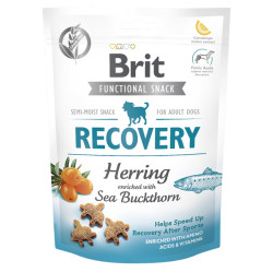 BRIT Care Dog Functional Snack Recovery Herring sleď s rakytníkem pro psy 150 g