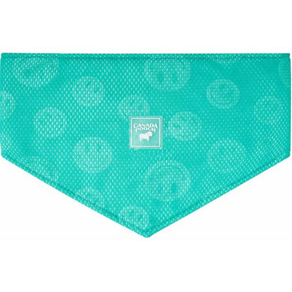 CANADA POOCH Chladící šátek pro psy zelený 1 ks, Velikost: S