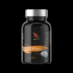 CARNIUM BOTANICALS Focus+ 60 kapslí