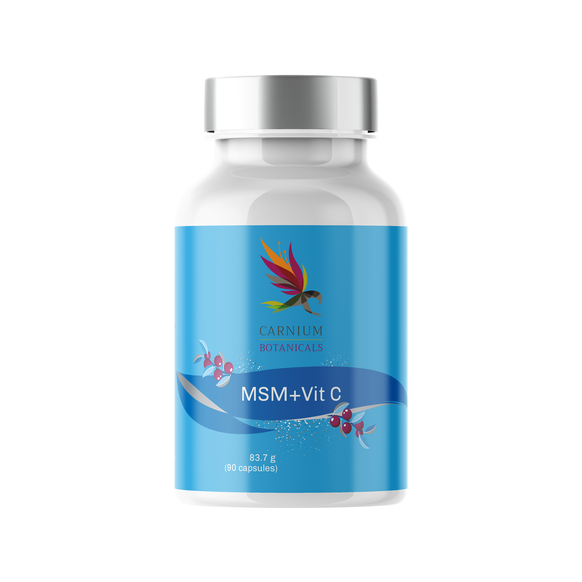 CARNIUM BOTANICALS MSM s Vitamínem C 90 kapslí