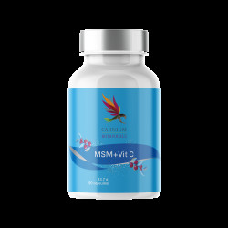 CARNIUM BOTANICALS MSM s Vitamínem C 90 kapslí