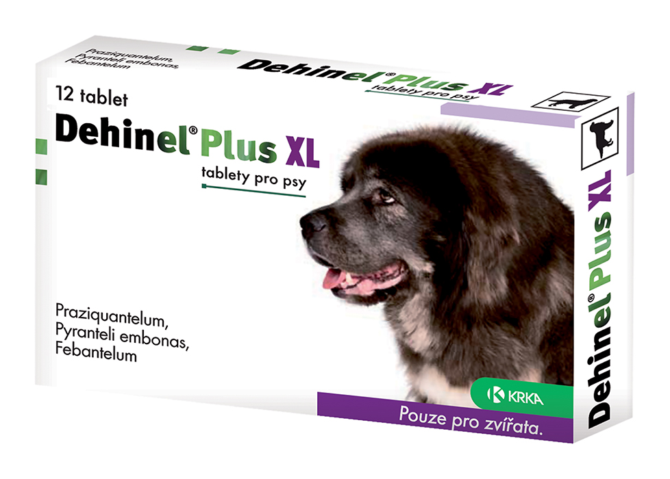 DEHINEL plus XL 12 tbl. 12 ks