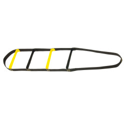 DMA 763 A ZEUS, Žebříček pro přesun