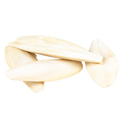 Duvo+ Originální sépiová kost sypaná +/- 15-28cm  5kg