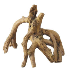 Ebi Mangrove 17 x 11,5 x 14cm S