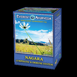 EVEREST AYURVEDA Nagara lymfatický systém a imunita sypaný čaj 100 g