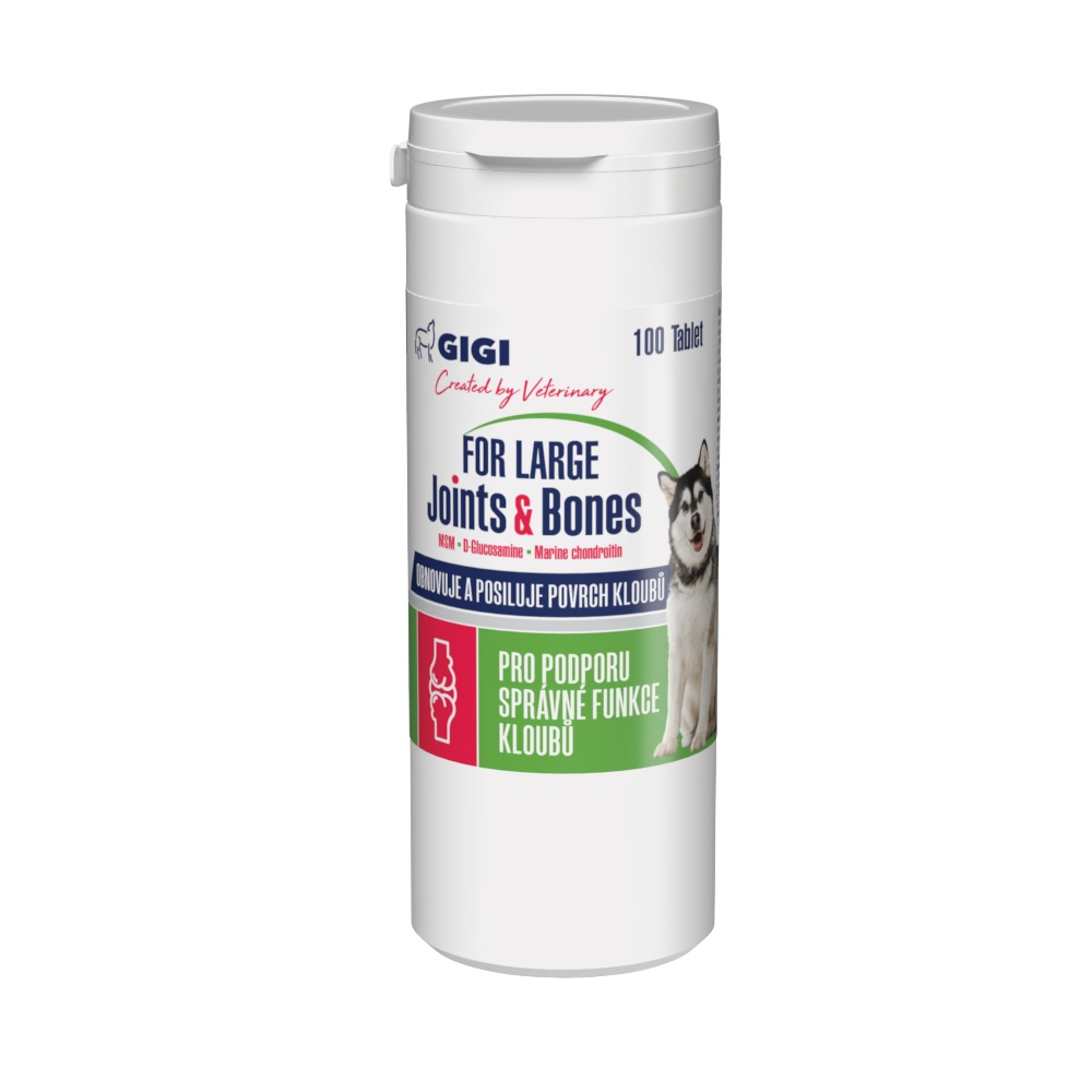 GIGI For Large Joints & Bones 100 tablet