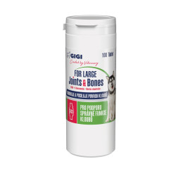 GIGI For Large Joints & Bones 100 tablet