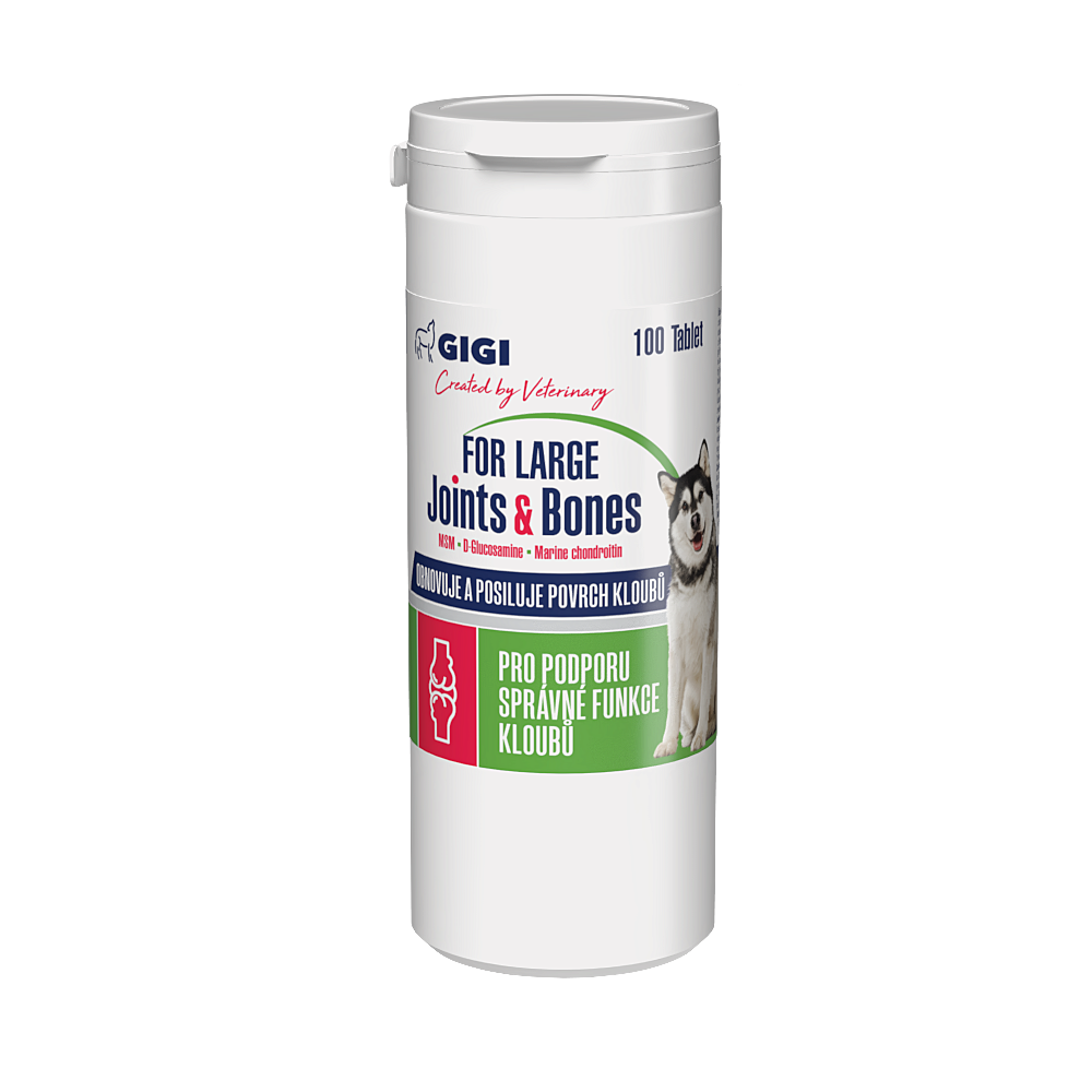 GIGI For large joints&bones kloubní přípravek pro psy 100 tablet