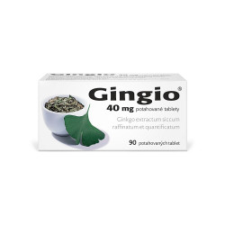 GINGIO 40 mg 90 potahovaných tablet