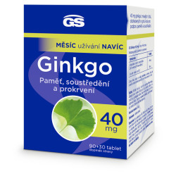 GS Ginkgo 40 mg 90 + 30 tablet