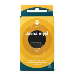 HEMNIA Jasná mysl náplast 30 ks