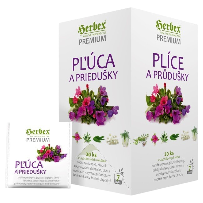 HERBEX Plíce a průdušky nálevové sáčky 20 x 1.5 g