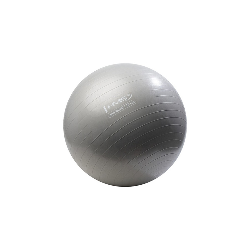 HMS YB02N gymnastický míč 75 cm šedo-stříbrný