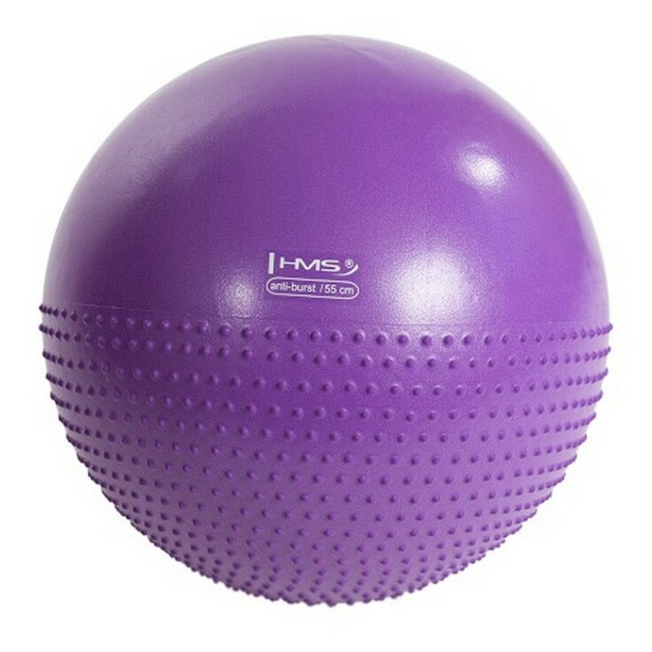 HMS YB03 Masážní gymnastický míč  55 cm fialový