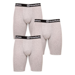 Horsefeathers 3PACK pánské boxerky Dynasty long (AM195C) XL