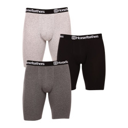Horsefeathers 3PACK pánské boxerky Dynasty long (AM195D) XXL