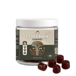 Hrotlife Lions mane gummies malina 60 kapslí