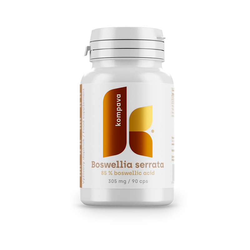 KOMPAVA Boswellia serrata 305 mg 90 kapslí