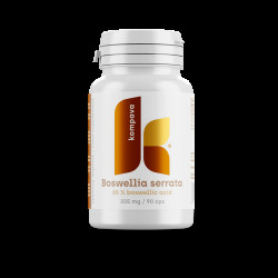 KOMPAVA Boswellia serrata 305 mg 90 kapslí