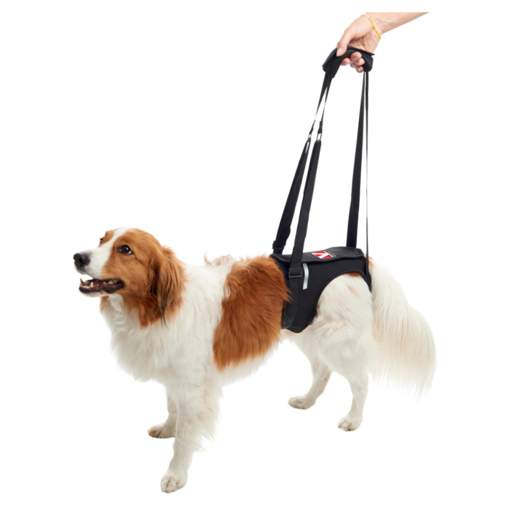 KRUUSE Rehab zvedací postroj na zadní nohy, Velikost: XS