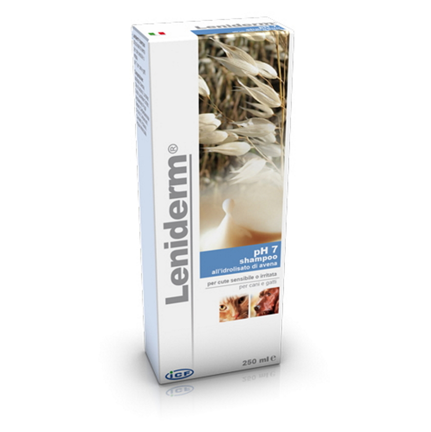 LENIDERM šampon 250 ml