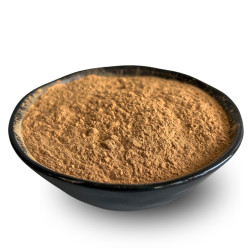 Lyopotraviny BIO Karob 500 g, 500 g