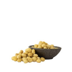 Lyopotraviny BIO makadamové ořechy RAW, 250 g