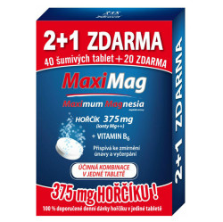 MAXIMAG Hořčík + B6 šumivé .2+1 ZDARMA 3 x 20 tablet