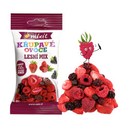 MIXIT Křupavé ovoce do kapsy lesní mix 20 g