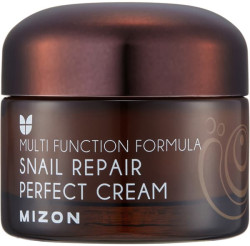 MIZON Snail Repair Perfect Cream, Vyživující krém na vrásky 50 ml