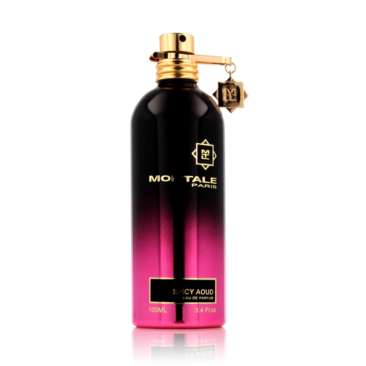 Montale Paris Spicy Aoud EDP 100 ml UNISEX