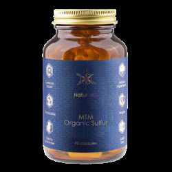 Naturlabs MSM - 90 kapslí