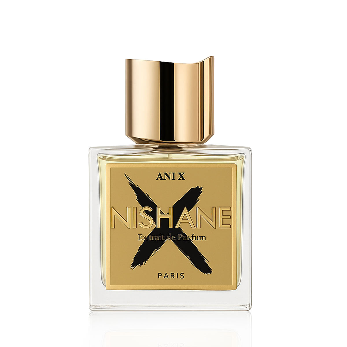 NISHANE Ani X Extrait de Parfum 100 ml UNISEX