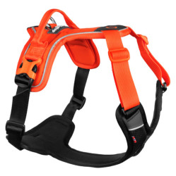 NON-STOP Dogwear Ramble postroj pro psy orange/black, Velikost: XS