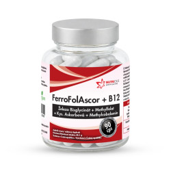 Nutricius FerroFolAscor + B12 90 kapslí