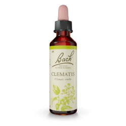 ORIGINAL BACH® Clematis 20 ml