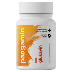 PANGAMIN Glukavin 200 tablet