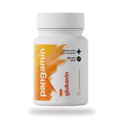 Pangamin glukavin 200 tablet