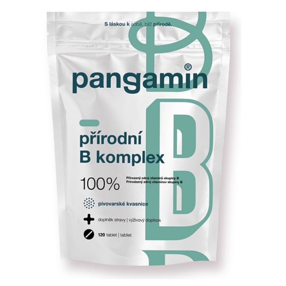 PANGAMIN Přírodní B komplex 120 tablet